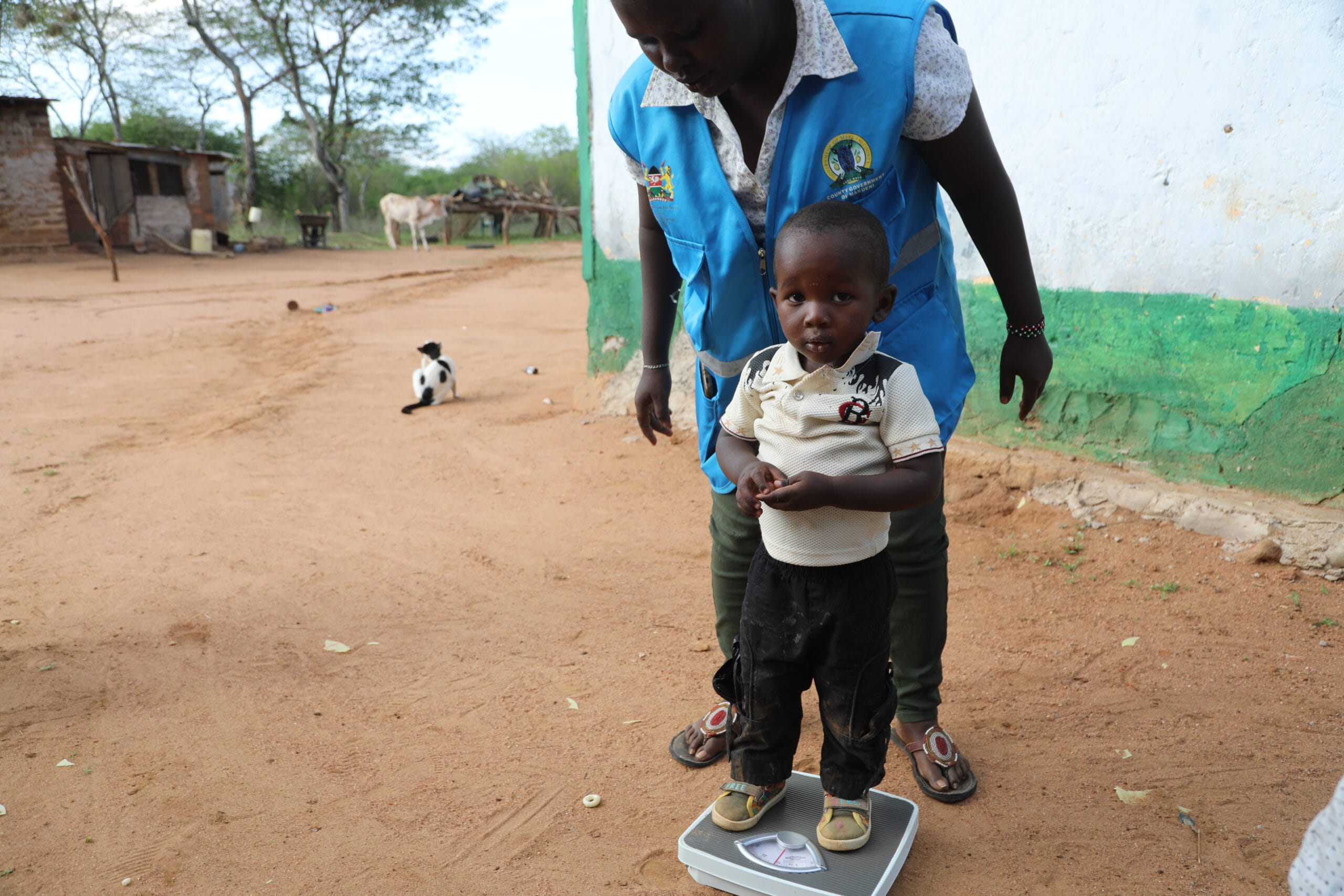 Thrive to Serve - Financing Alliance for Health